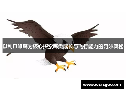 以利爪雏鹰为核心探索鹰类成长与飞行能力的奇妙奥秘